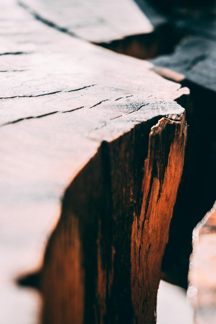 Cozyvera | Quiet Luxury Furniture & Home Goods